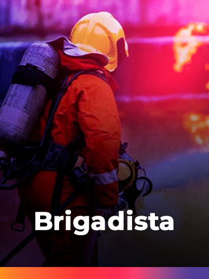 Brigadista